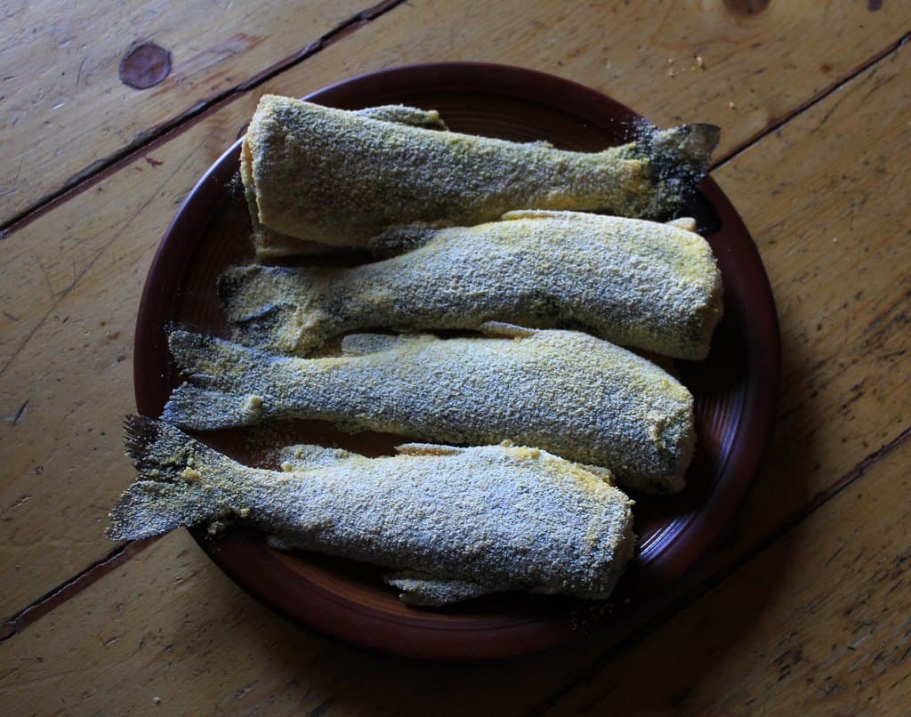 Truchas limpias apanándose en harina sobre plato de cerámica