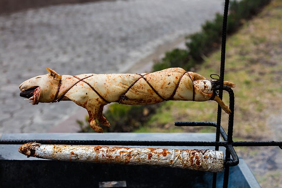 Cuy entero atado al asador, cubierto con adobo rojo de ají panca, ajo y hierbas